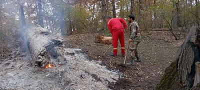  مهار آتش سوزی جنگل‌های توسکستان با بالگرد و نیروهای پیاده