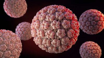  تعداد محدودی از ویروس‌های HPV سرطان‌زا هستند