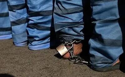  اغفال دختر ۱۷ ساله در روبیکا توسط تبعه افغان