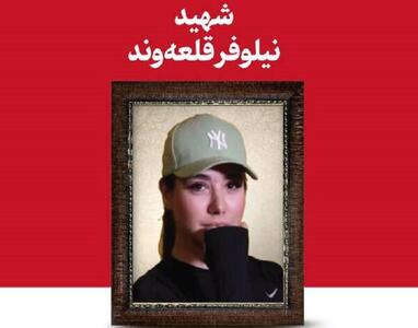  شهید ایرانی، امر ملی