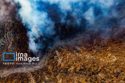  از بین رفتن خاک آلی چند میلیون ساله با آتش‌سوزی جنگل‌های الیت