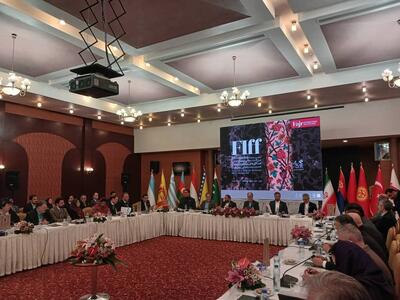  نشست بین‌المللی همکاری‌های سینمایی در شیراز آغاز شد