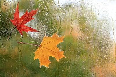  گیلان بارانی می‌شود