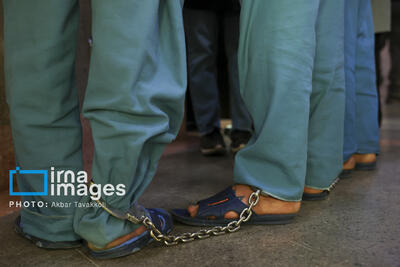  ۲ قُرق بان و ۲ نگهبان به جرم تبانی با قاچاقچیان چوب در مازندران دستگیر شدند