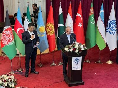  صالحی امیری: کشورهای عضو اکو از ریشه‌ای واحد در فرهنگ، تمدن و حافظه تاریخی برخوردارند