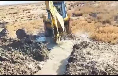  نفس‌های تازه برای تالاب بین‌المللی گندمان چهارمحال و بختیاری