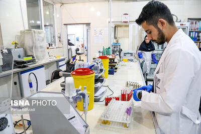  برگزاری کارگاه تخصصی لقاح آزمایشگاهی در موش با استفاده از تخمک نابالغ توسط پژوهشگاه رویان جهاددانشگاهی