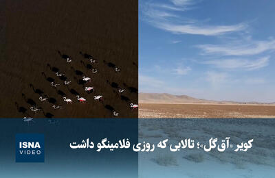  ویدیو/ کویر «آق‌گُل»؛ تالابی که روزی فلامینگو داشت