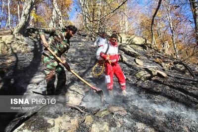  گلستان در آماده‌باش کامل/ کوچک‌ترین بی‌احتیاطی می‌تواند جنگل‌های هیرکانی را شعله‌ور کند