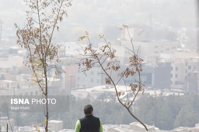  تداوم آموزش مجازی دانشگاه‌ها و مدارس استان تهران برای سه‌شنبه/دورکاری دستگاه‌های اجرایی تهران با نظر مدیران
