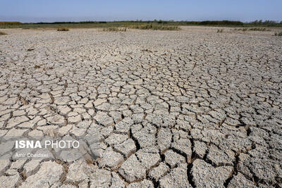  رئیس سازمان جهاد کشاورزی استان: خاک ضامن امنیت غذایی است