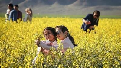  فارس در مسیر توسعه گردشگری تخصصی و تجربه‌محور کشاورزی