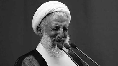  صدیقی: همدردی مردم و پیام رهبر انقلاب تسلی‌بخش این مصیبت بود