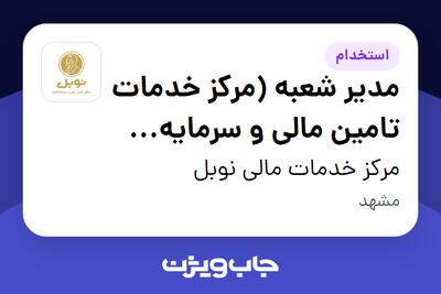  استخدام مدیر شعبه (مرکز خدمات تامین مالی و سرمایه گذاری) در مرکز خدمات مالی نوبل