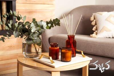  ۱۰ عادت زشت که خانه را بدبو می‌کند | چه کنیم همیشه خانه خوشبو باشد؟ - مجله اینترنتی کولاک