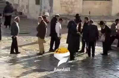  فیلم/ تعرض مجدد شهرک‌نشینان اشغالگر به مسجد الاقصی