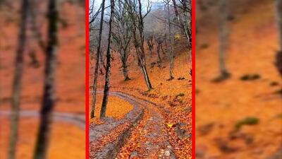  فیلم مناظر پاییزی روستای چورت ساری
