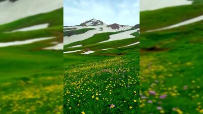  فیلم چشم اندازهای رویایی ارتفاعات دالامپر