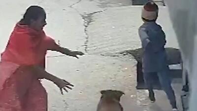  فیلم حمله وحشتناک سگ به کودک در هندوستان