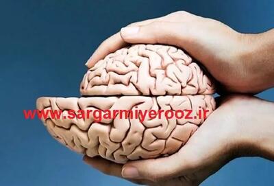  مغزتان را تا ۹۰ سالگی مثل ۴۰ ساله ها نگه دارید