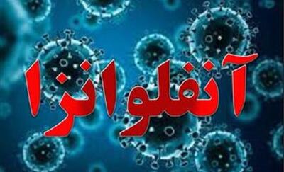  رئیس دانشگاه علوم پزشکی هرمزگان: ویروس آنفلوآنزا در حال رسیدن به «فاز اوج‌گیری فصلی» است