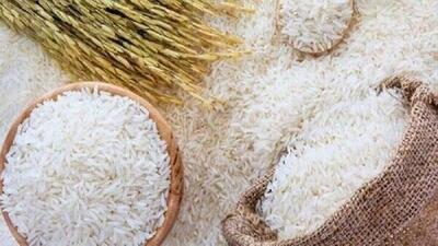  واردات و توزیع قطره چکانی برنج تاثیری در تنظیم بازار ندارد
