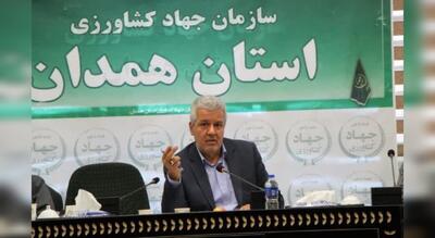  همدان قطب تولید سیر و موسیر کشور؛ اسدآباد کانون ۱۰۰ هکتاری کشت موسیر
