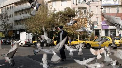  کی باران می‌بارد؟