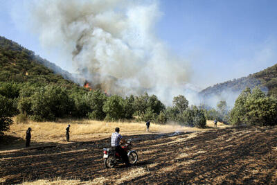  آتش‌سوزی جنگل‌های ساری و نکا مهار شد