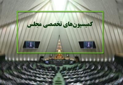  کمیسیون‌های مجلس روی باسکول - تسنیم