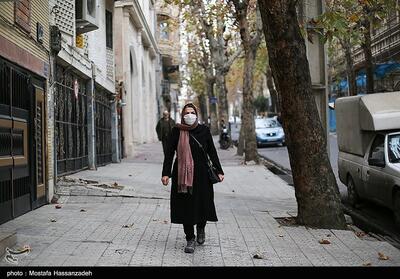  آنفولانزا گوی سبقت از آلودگی ربود/ مدارس و دانشگاه‌ها تا پایان هفته تعطیل - تسنیم