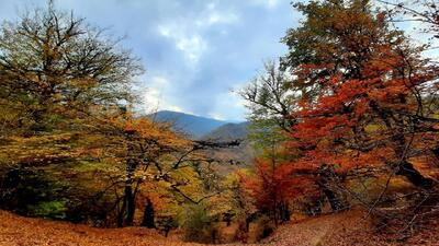  چشم نوازی چشمه قاسم گرگان از لنز دوربین شهروندخبرنگار