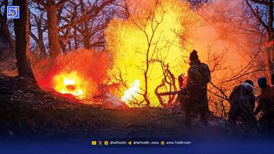  پشت دود یک حادثه، چوب‌بری را پنهان نکنید