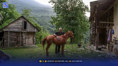  آسفالت کردن جاده‌ای در قلب منطقه حفاظت‌شده آبشار