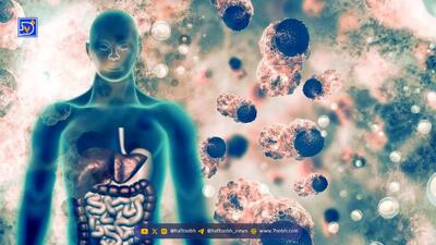  غذاهایی که به همه اعضای بدن شما آسیب می‌رساند