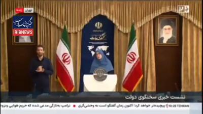  مهاجرانی: طرح یسنا در اختیار مادران باردار و شیرده قرار گرفت