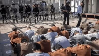  شکنجه و تجاوز وحشیانه به یک خبرنگار فلسطینی با سگ