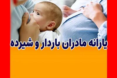  یارانه ۶۵۰ هزار تومانی برای این افراد شارژ شد