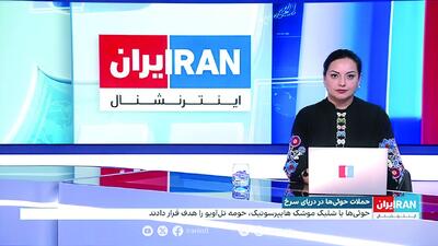  تروریست‌های اینترنشنالی به جان استاد ایرانی افتادند