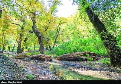  طبیعت پاییزی چشمه لال گلستان
