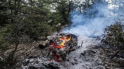  آتش در گونیلی کلاله اطفا شد