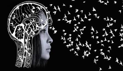  چرا برخی از خاطرات یک عمر باقی می‌مانند و برخی زود محو می‌شوند؟