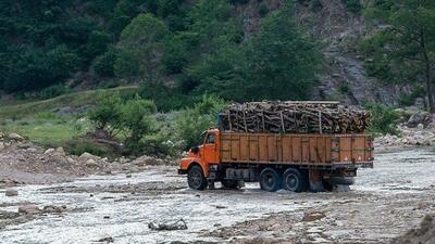  پشت صحنه قاچاق چوب در جنگل‌های هیرکانی/‌ نفوذ قاچاقچیان در لباس حفاظت!