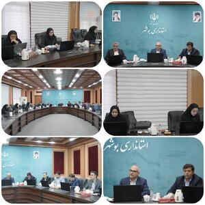  برگزاری جلسه کمیسیون ماده ۵ استان بوشهر 