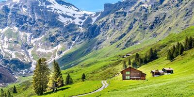  40 دانستنی جالب در مورد کشور سوئیس