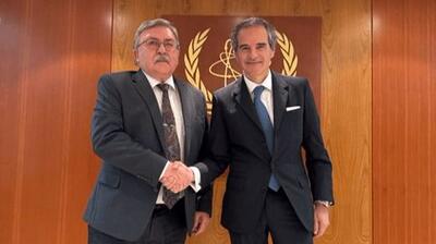  رایزنی مهم اولیانوف با گروسی درباره ایران