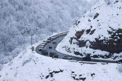  آغاز بارش شدید برف در جاده چالوس