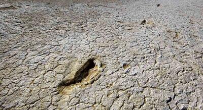  معمای کشف اسکلت انسان در شورآباد