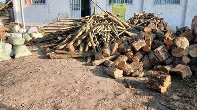  دادستان شهرستان رودسر: با قاچاق چوب و تخریب منابع طبیعی بدون اغماض برخورد می‌شود