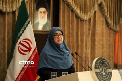  سخنگوی دولت: کارت سوخت سفید نداریم + فیلم